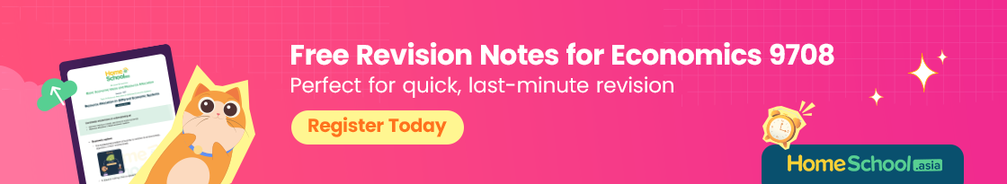 Economics 9708 Ad Banner